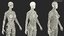 complete female body anatomy skin 3D model
