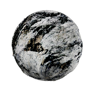 Bark-Wood-4K-Texture SR-X-013