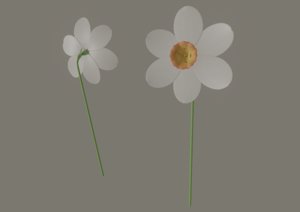 narcissus flower 3D model