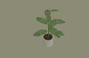 3D model white plant pot
