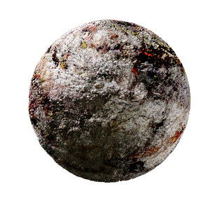 Bark-Wood-4K-Texture SR-X-014