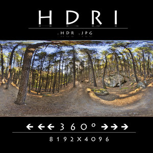HDR FOREST PATH 1