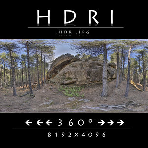 HDR FOREST ROCK 1