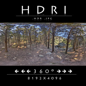 HDR FOREST PATH 2