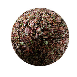 Bark-Wood-4K-Texture SR-X-015