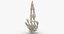 3D human hand bones white model