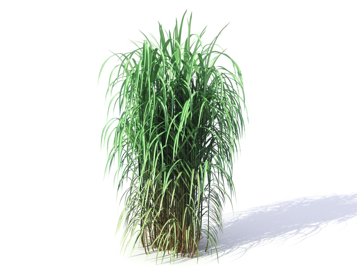 3d-elephant-grass-model-turbosquid-1612310