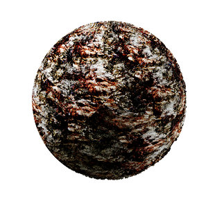 Bark-Wood-4K-Texture SR-X-016
