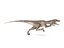velociraptor rigged animation model
