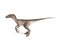 velociraptor rigged animation model