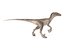 velociraptor rigged animation model