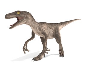 velociraptor rigged animation model