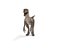 velociraptor rigged animation model