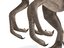 velociraptor rigged animation model