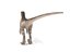 velociraptor rigged animation model