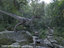 velociraptor rigged animation model