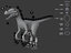 velociraptor rigged animation model