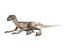 velociraptor rigged animation model