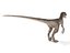 velociraptor rigged animation model