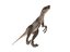 velociraptor rigged animation model