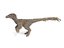 3D velociraptor feathers rigged