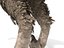 3D velociraptor feathers rigged