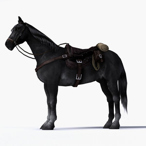 3D black horse saddle