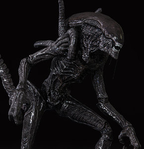 Xenomorph 3D Models for Download | TurboSquid