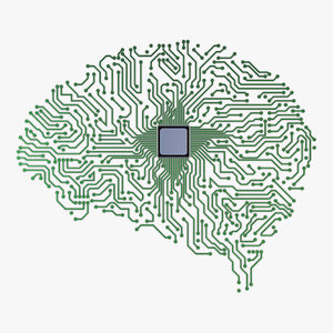 electronic circuit board brain 3D model