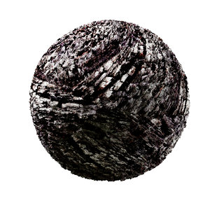 Bark-Wood-4K-Texture SR-X-017
