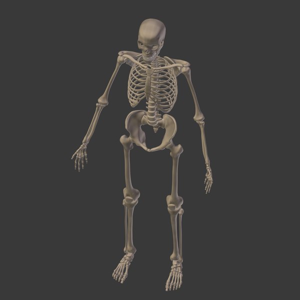 人体骨骼3D模型 - TurboSquid 1358705