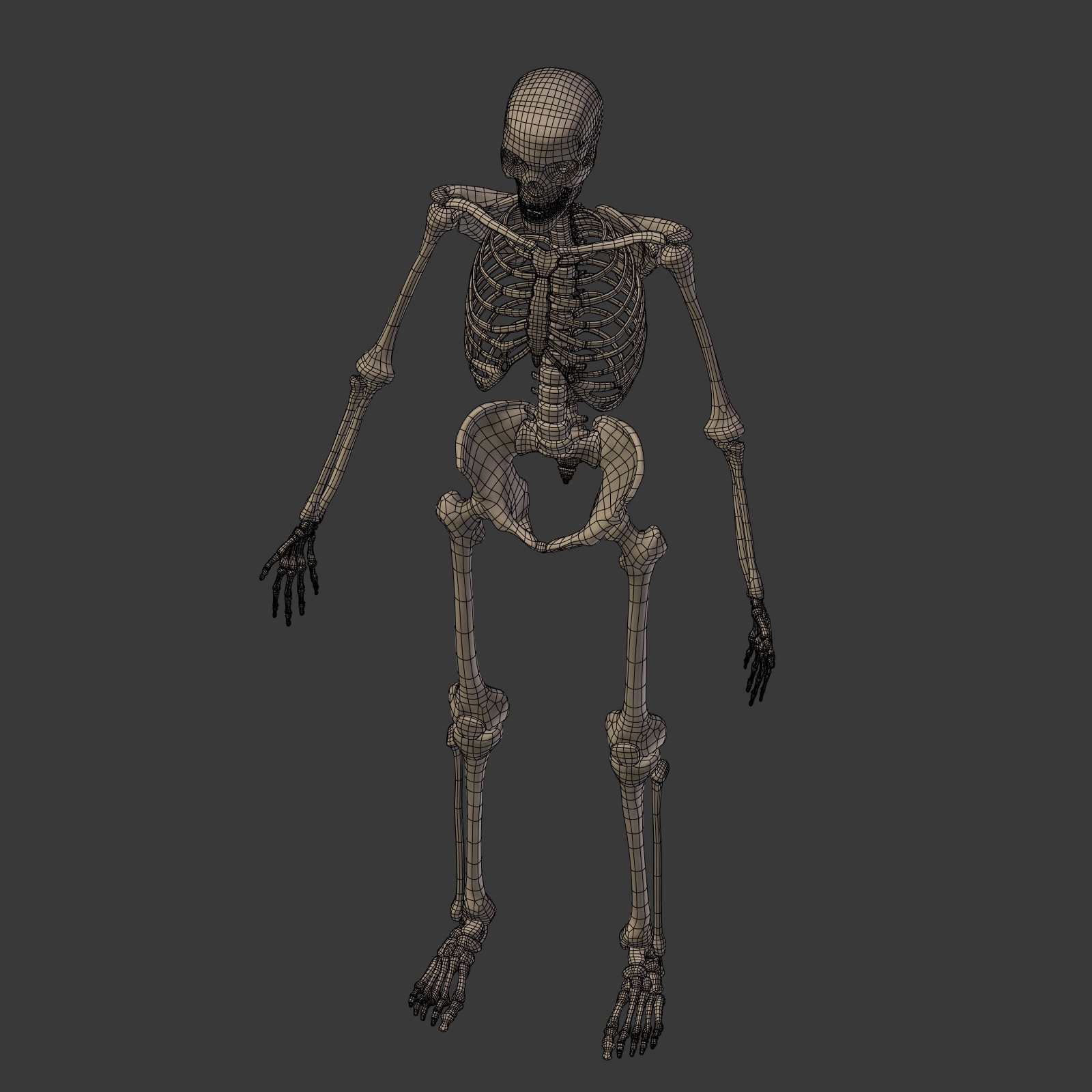 人体骨骼3D模型 - TurboSquid 1358705