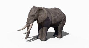 rigged elephant 3D model