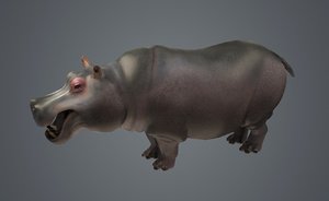 3D realistic hippos african herbivores