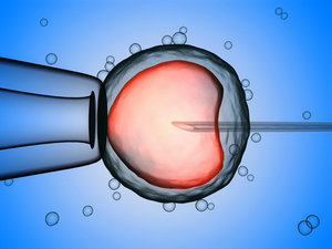 artificial insemination vitro fertilization model