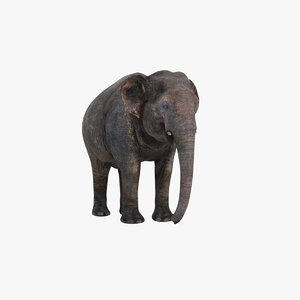 3D model asian elephant