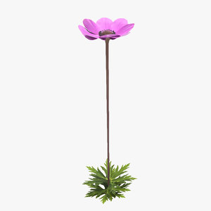 plant flower 3D model