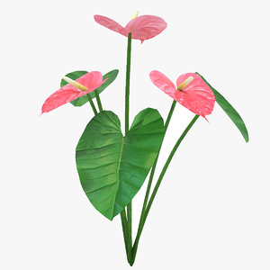 3D plant flower