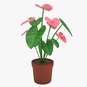 3D plant flowers model