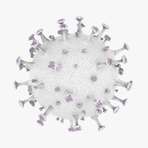 3D model covid-19 coronavirus