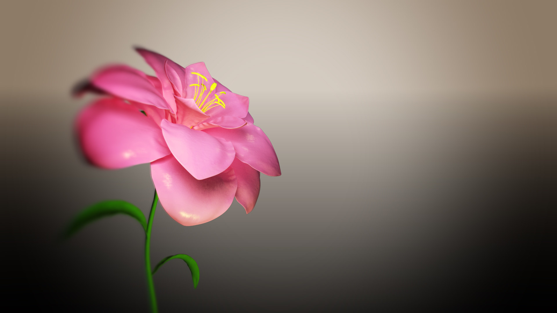 3D flower blooming animation model - TurboSquid 1618690