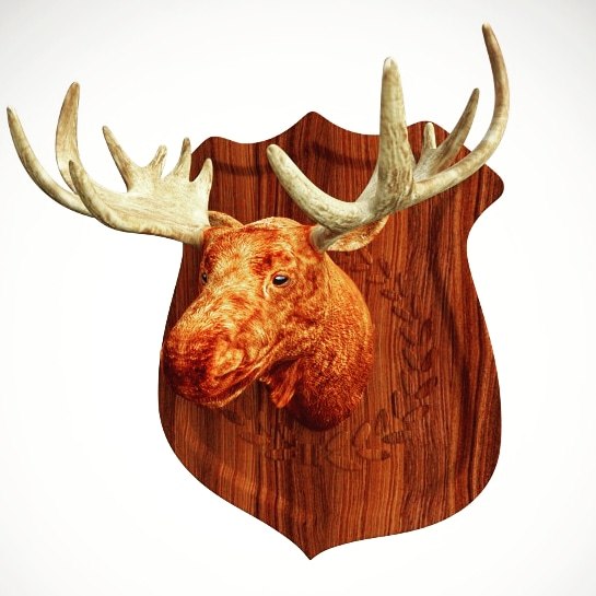 3D moose head model - TurboSquid 1618879