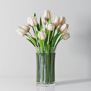 3d white tulips model