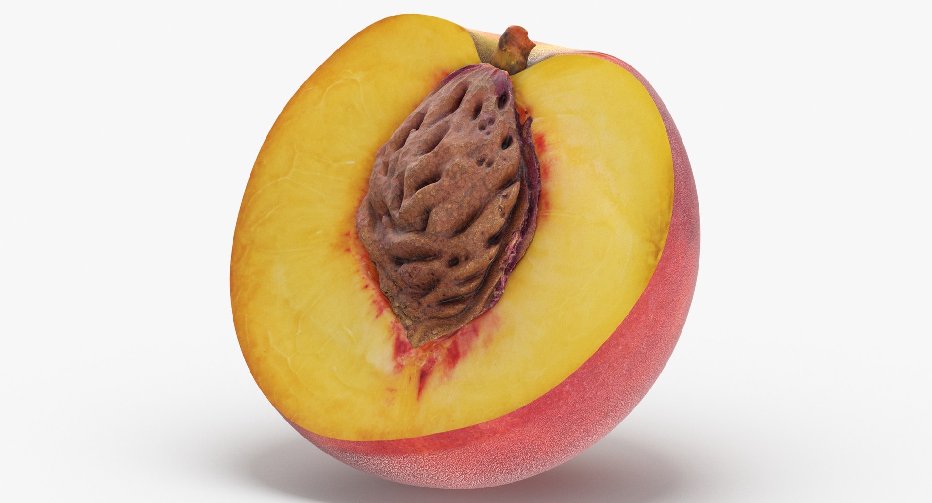 Peach half cut seed 3D model TurboSquid 1619095
