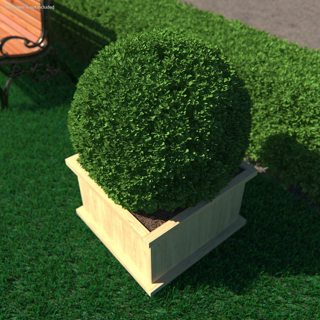 3D decorative shrubs 2 TurboSquid 1620534