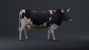 holstein cow animation 3D model