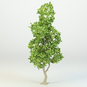 3D cartoon tree model