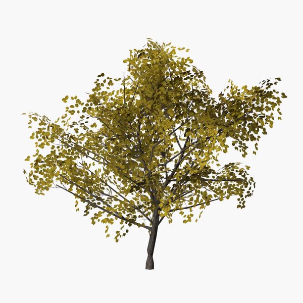 Pear autumn model - TurboSquid 1620508