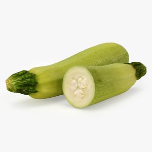 3D zucchini squash