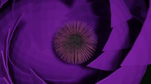 Purple fantasy flower